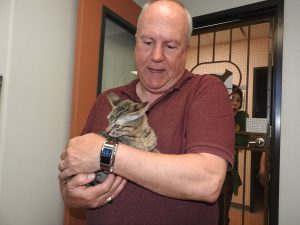 Picture of Blessing of the Animals 2019