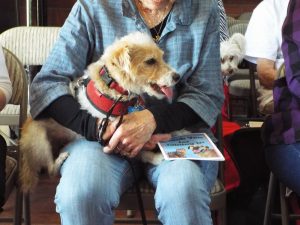 Picture of Blessing of the Animals 2019