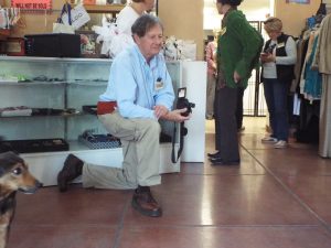 Picture of Blessing of the Animals 2019