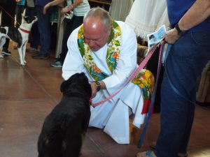 Picture of Blessing of the Animals 2019