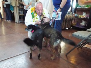 Picture of Blessing of the Animals 2019