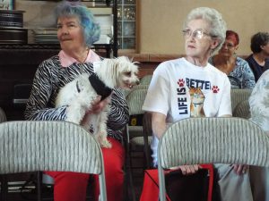 Picture of Blessing of the Animals 2019