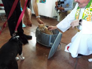 Picture of Blessing of the Animals 2019