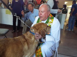 Picture of Blessing of the Animals 2019