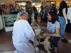 Picture of Blessing of the Animals 2019