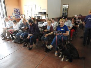 Picture of Blessing of the Animals 2019