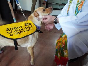 Picture of Blessing of the Animals 2019