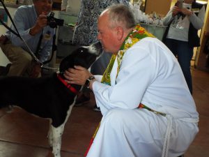 Picture of Blessing of the Animals 2019