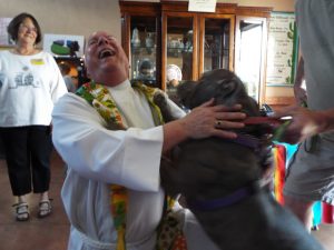 Picture of Blessing of the Animals 2019