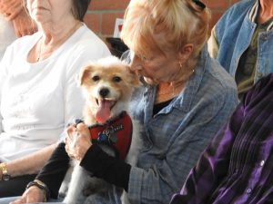 Picture of Blessing of the Animals 2019