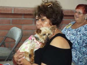 Picture of Blessing of the Animals 2019