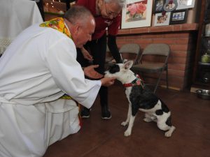 Picture of Blessing of the Animals 2019