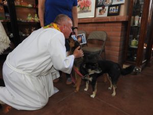 Picture of Blessing of the Animals 2019