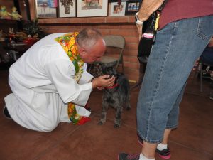 Picture of Blessing of the Animals 2019