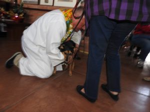Picture of Blessing of the Animals 2019