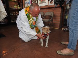 Picture of Blessing of the Animals 2019