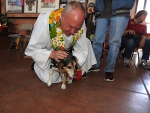 Picture of Blessing of the Animals 2019