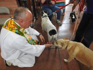 Picture of Blessing of the Animals 2019