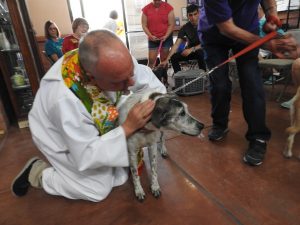 Picture of Blessing of the Animals 2019