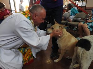 Picture of Blessing of the Animals 2019