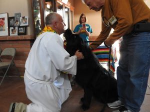 Picture of Blessing of the Animals 2019