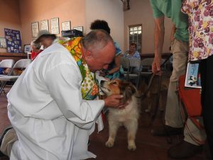 Picture of Blessing of the Animals 2019