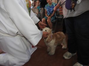 Picture of Blessing of the Animals 2019