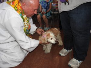 Picture of Blessing of the Animals 2019