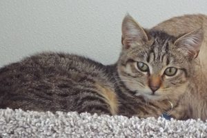 Picture of Gretchen
