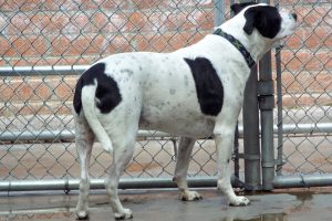 Picture of Gunther