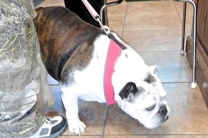 Picture of Heidi