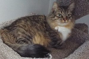 Picture of Louie
