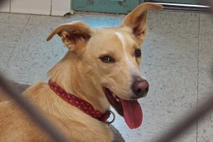 Picture of (Ms.) Charley