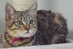 Picture of Gretchen