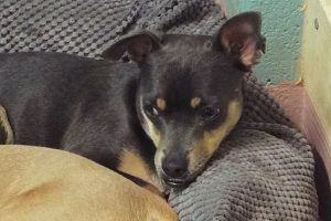Picture of Monte