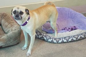 Picture of Samantha