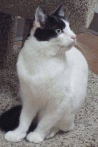 Picture of Bobby