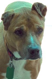Picture of Rocket