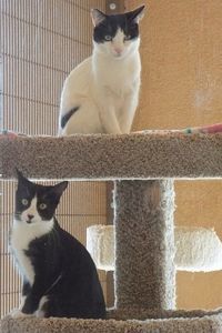 Picture of Tara