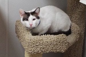 Picture of A.J.