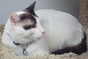 Picture of A.J.