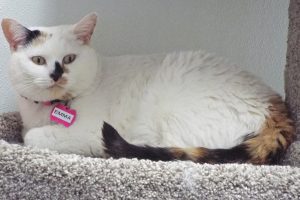 Picture of Emma (R.B.)