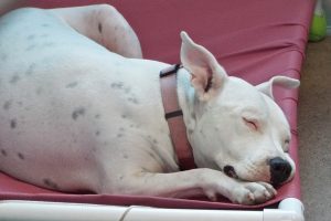 Picture of Heidi