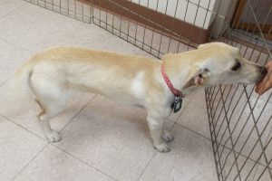 Picture of Julie