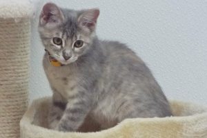 Picture of Rachel