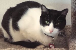 Picture of Sammie