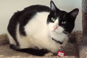 Picture of Sammie