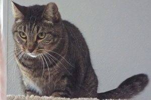 Picture of Zena