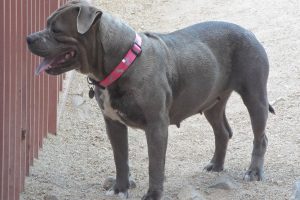 Picture of Brandi