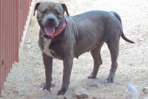 Picture of Brandi